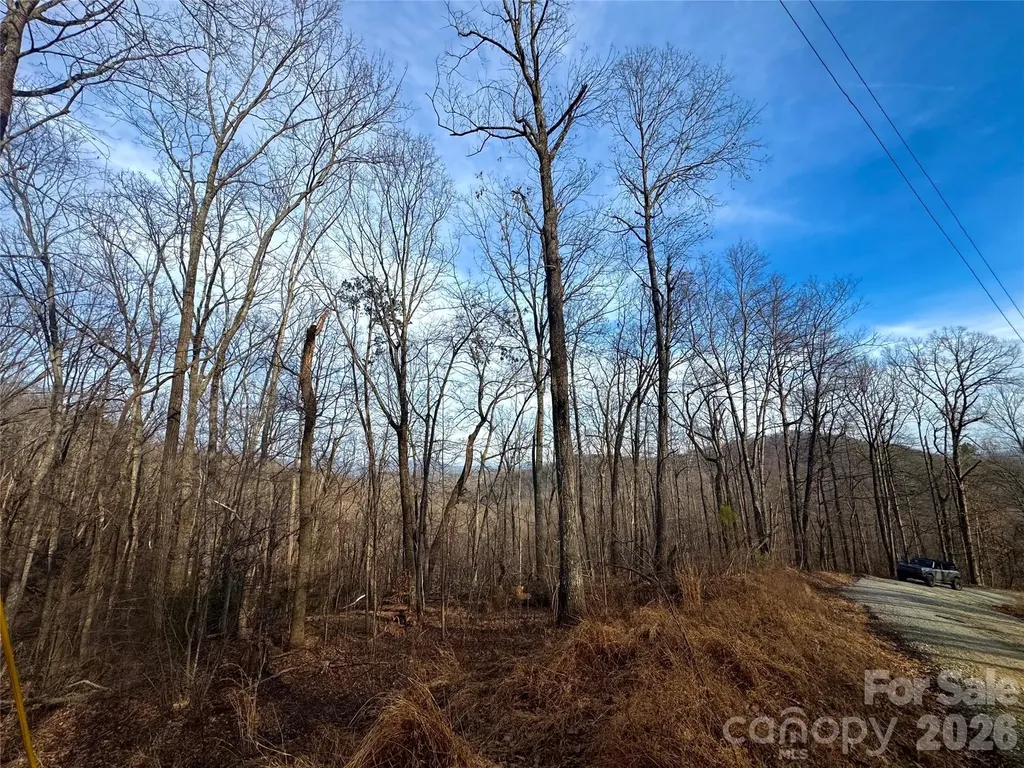 0 Peartree Drive Lake Lure NC 28746