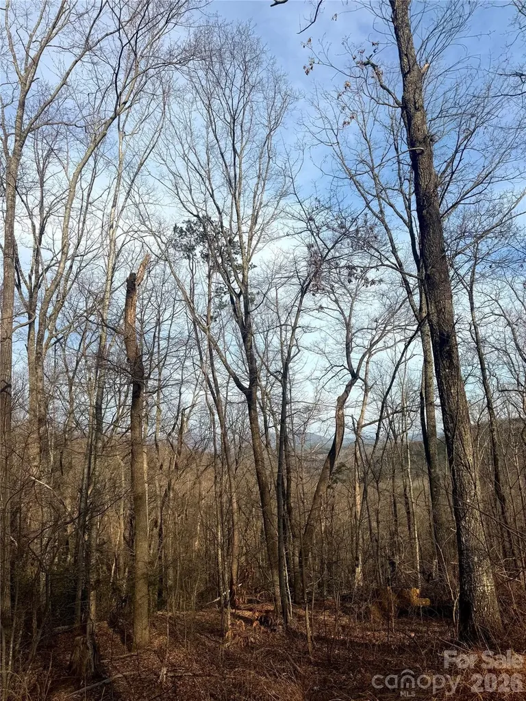 0 Peartree Drive Lake Lure NC 28746