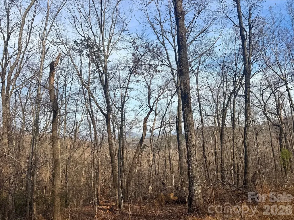 0 Peartree Drive Lake Lure NC 28746