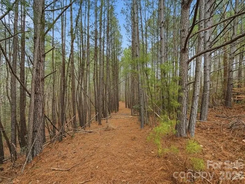 108 Rivercliff Drive W Connelly Springs NC 28612