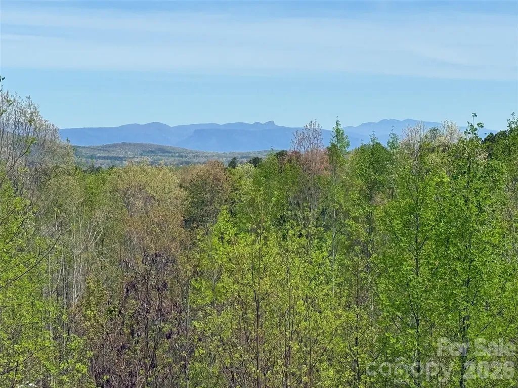 338 Lakeview Trail Nebo NC 28761