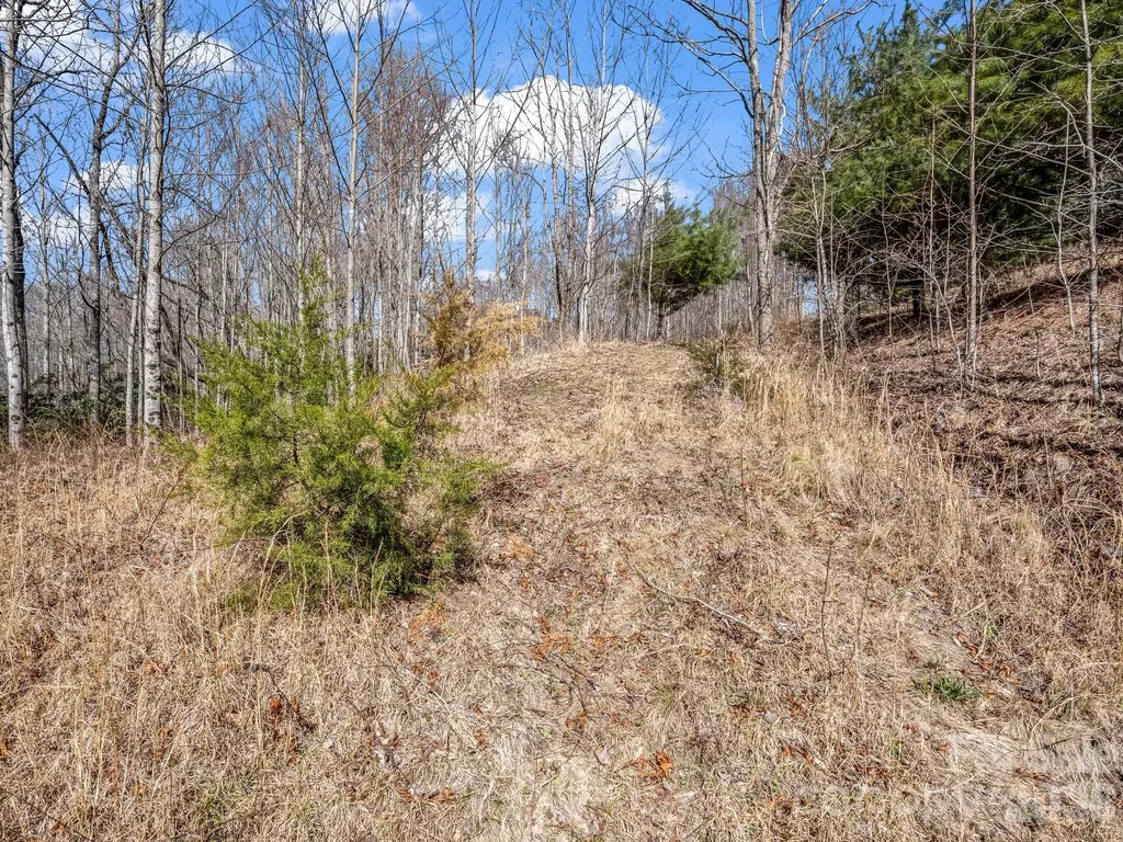 142 Mountain Elder Lane Hendersonville NC 28739