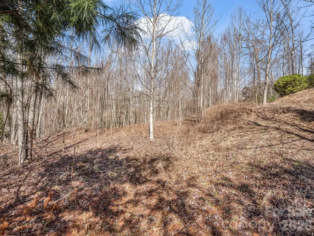 142 Mountain Elder Lane Hendersonville NC 28739