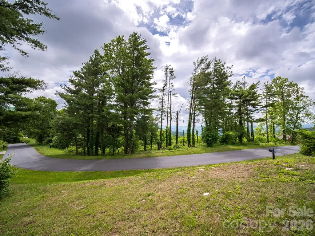 #178 Dancing Bear Drive Hendersonville NC 28792