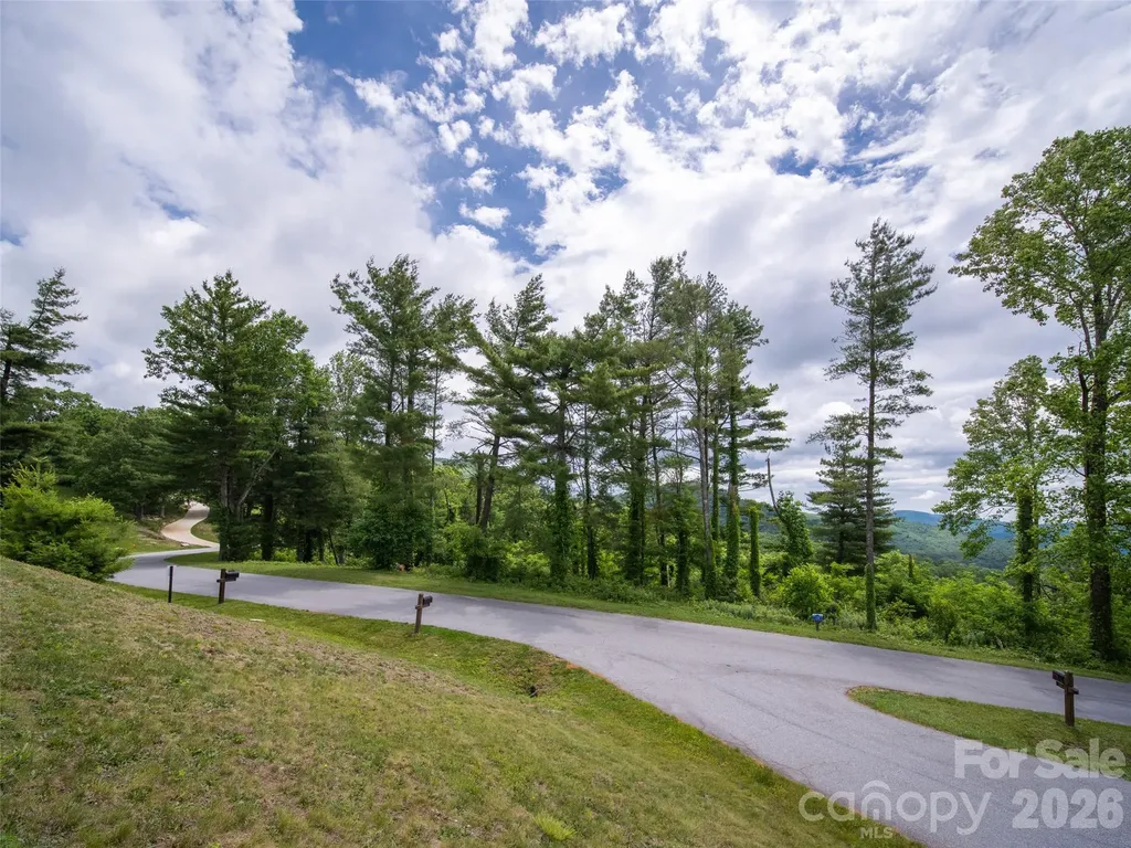 #178 Dancing Bear Drive Hendersonville NC 28792