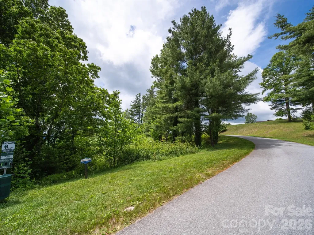 #178 Dancing Bear Drive Hendersonville NC 28792