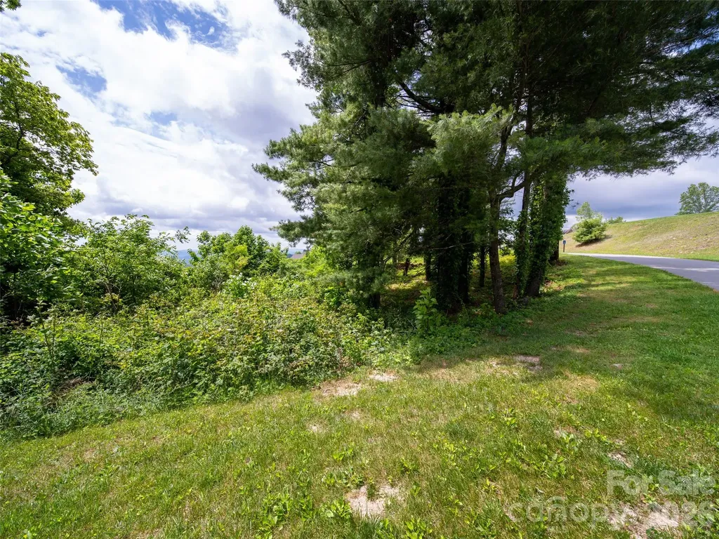 #178 Dancing Bear Drive Hendersonville NC 28792