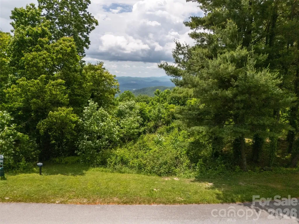 #178 Dancing Bear Drive Hendersonville NC 28792
