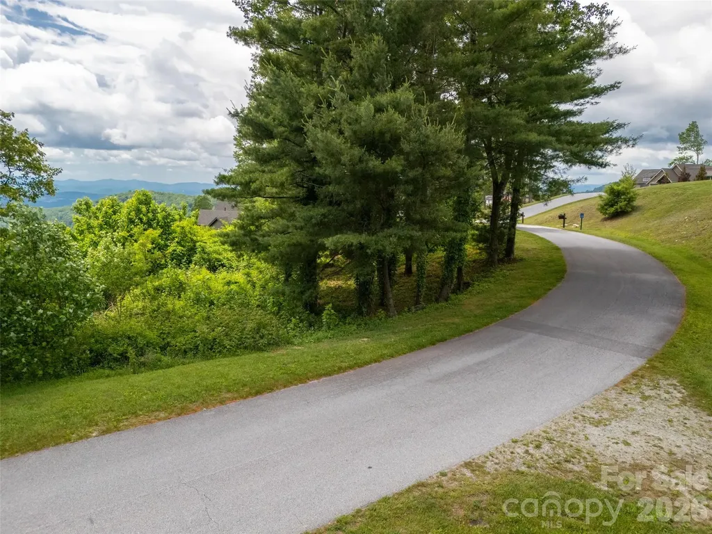 #178 Dancing Bear Drive Hendersonville NC 28792