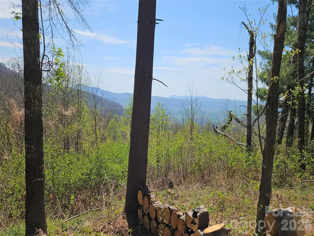 #178 Dancing Bear Drive Hendersonville NC 28792
