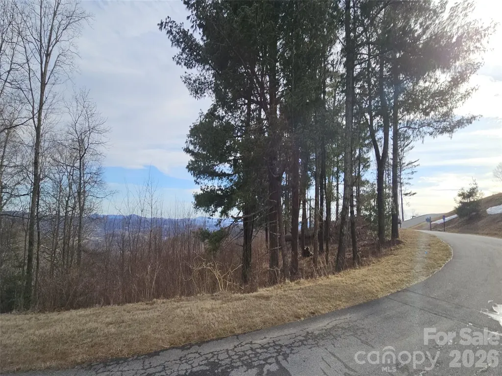 #178 Dancing Bear Drive Hendersonville NC 28792