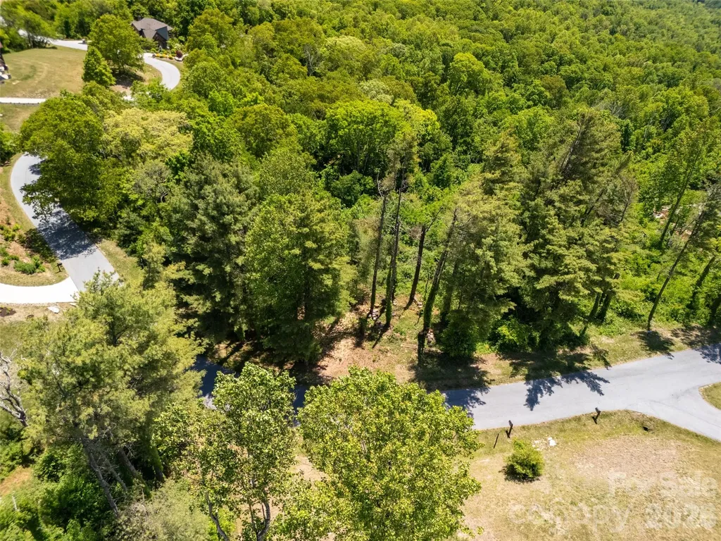 #178 Dancing Bear Drive Hendersonville NC 28792