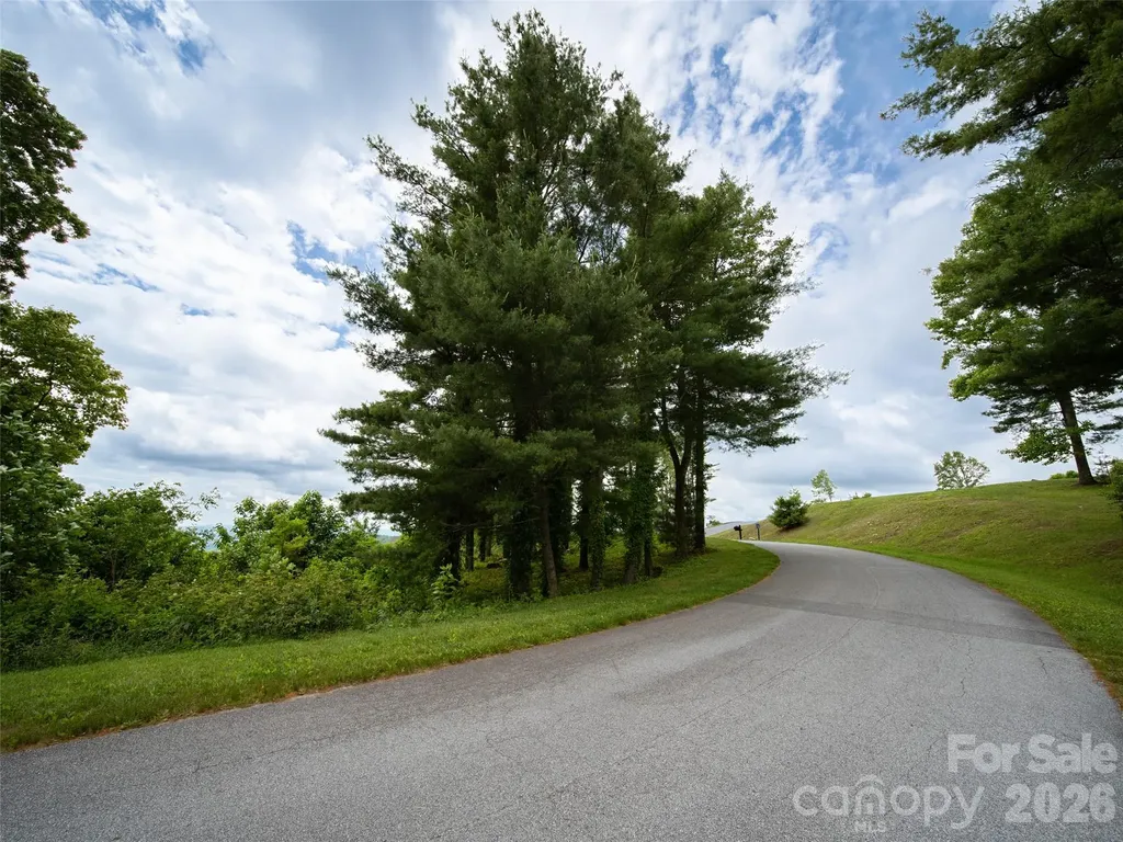 #178 Dancing Bear Drive Hendersonville NC 28792