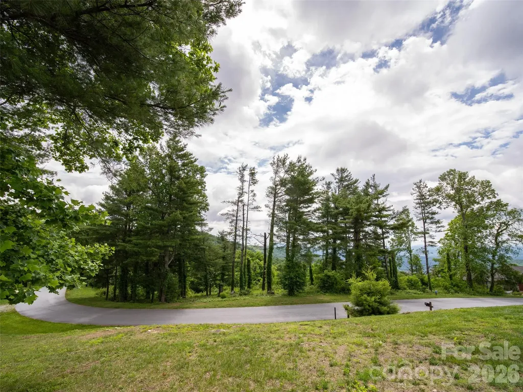 #178 Dancing Bear Drive Hendersonville NC 28792