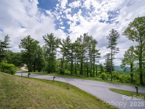 #178 Dancing Bear Drive Hendersonville NC 28792