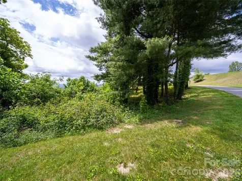 #178 Dancing Bear Drive Hendersonville NC 28792