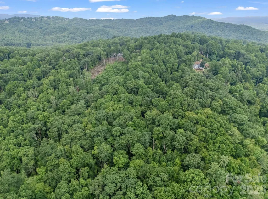 Tbd Davenport Hills Road Hendersonville NC 28739