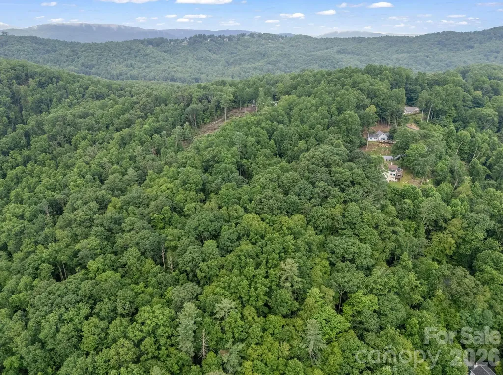 Tbd Davenport Hills Road Hendersonville NC 28739