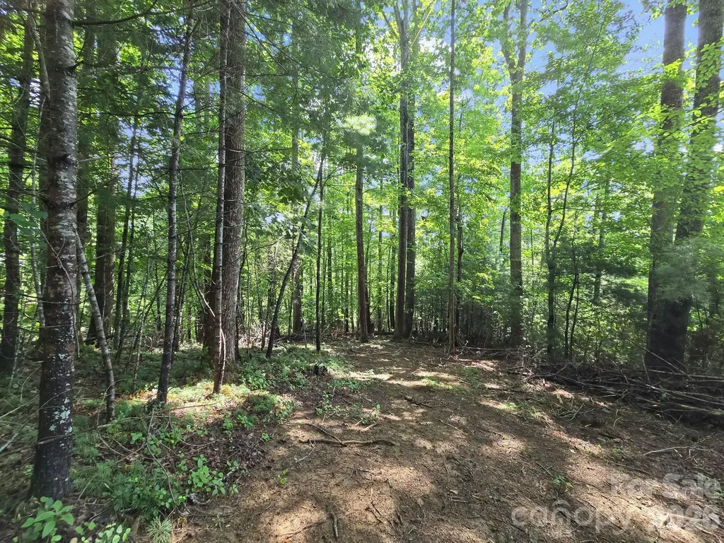 Tbd Davenport Hills Road Hendersonville NC 28739