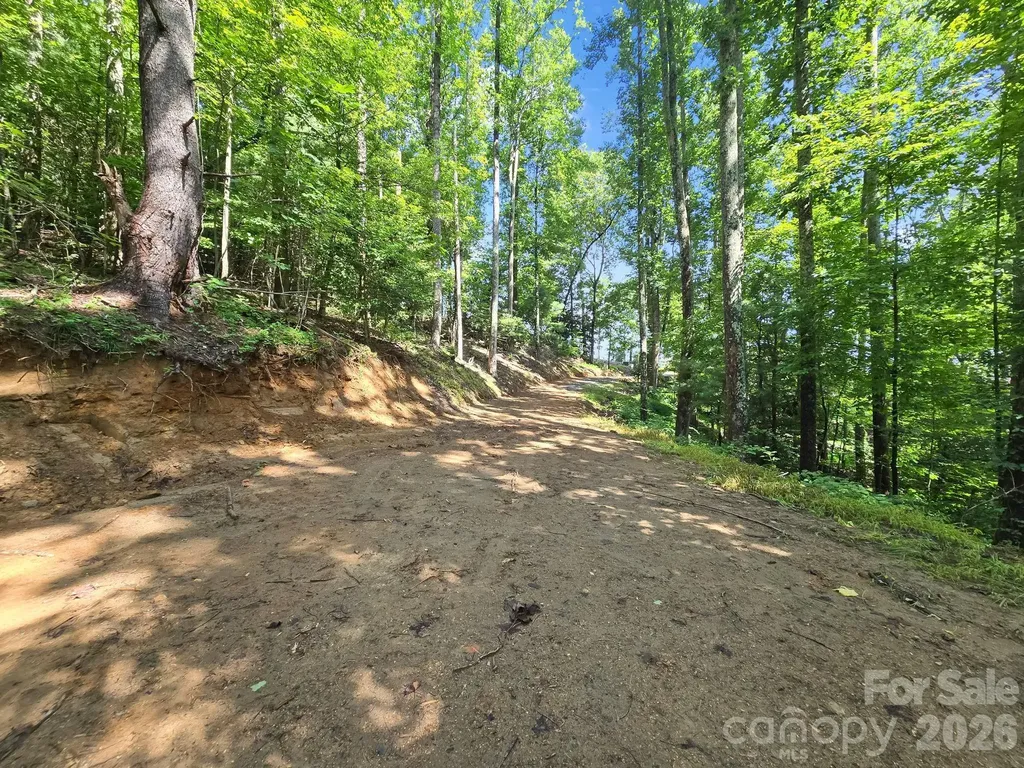 Tbd Davenport Hills Road Hendersonville NC 28739
