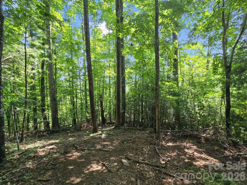 Tbd Davenport Hills Road Hendersonville NC 28739