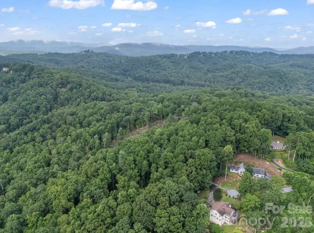 Tbd Davenport Hills Road Hendersonville NC 28739