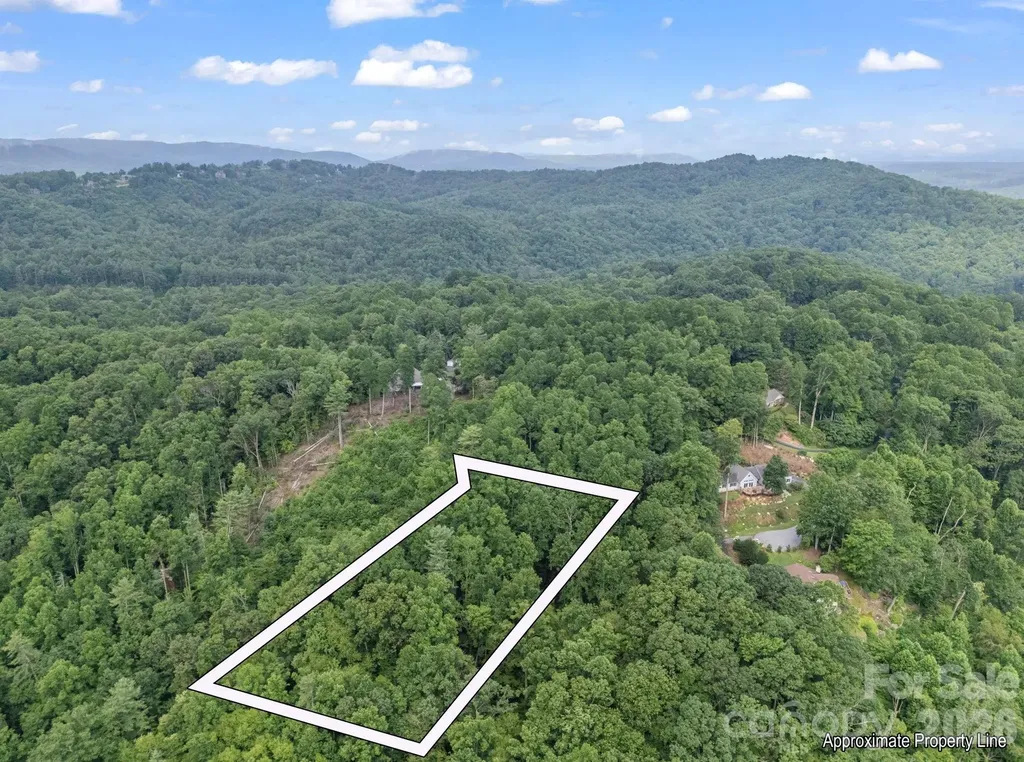 Tbd Davenport Hills Road Hendersonville NC 28739