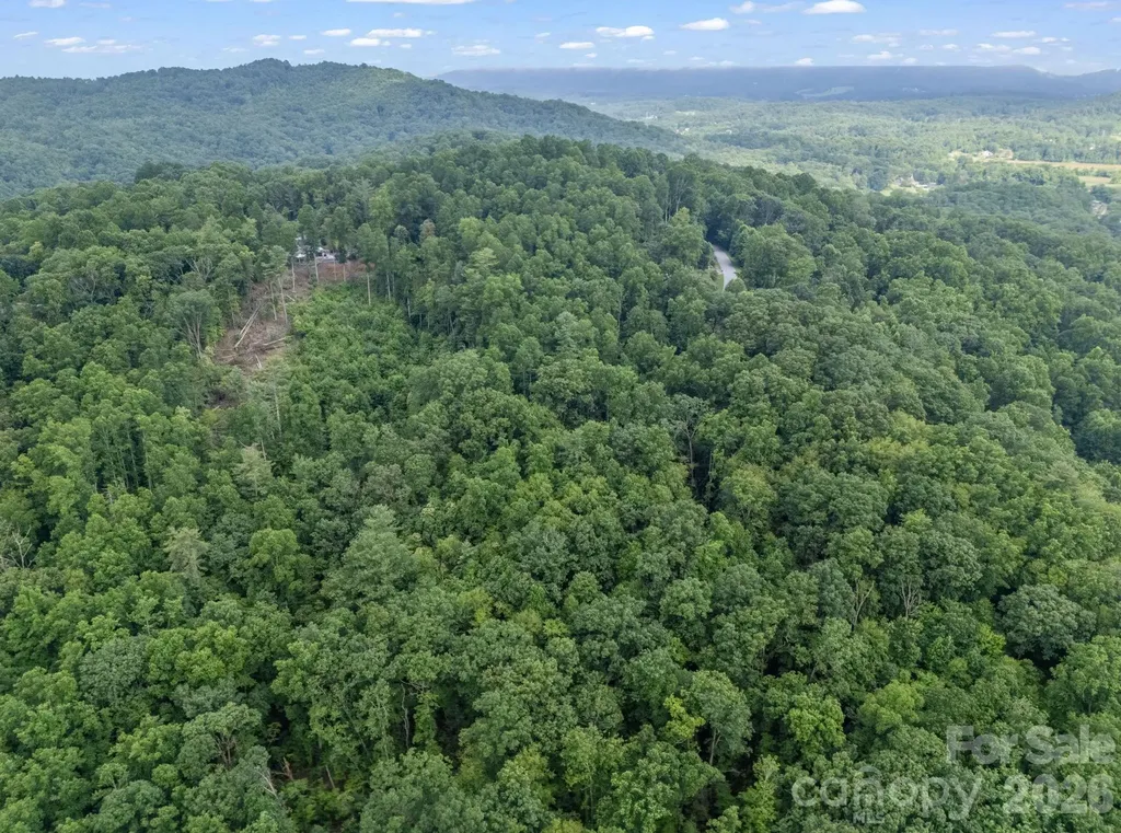 Tbd Davenport Hills Road Hendersonville NC 28739