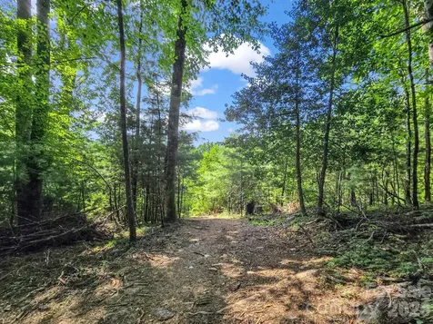 Tbd Davenport Hills Road Hendersonville NC 28739