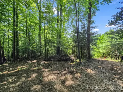 Tbd Davenport Hills Road Hendersonville NC 28739