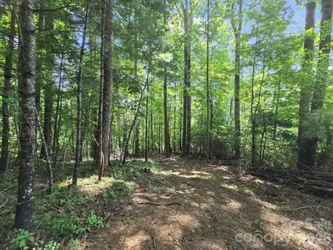 Tbd Davenport Hills Road Hendersonville NC 28739
