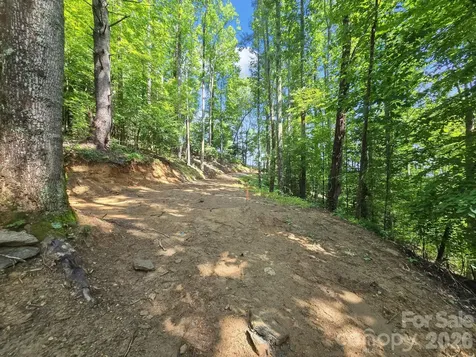 Tbd Davenport Hills Road Hendersonville NC 28739