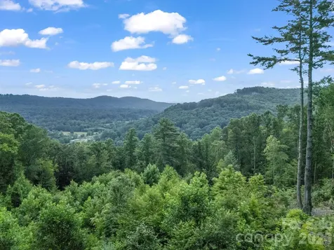 Tbd Davenport Hills Road Hendersonville NC 28739