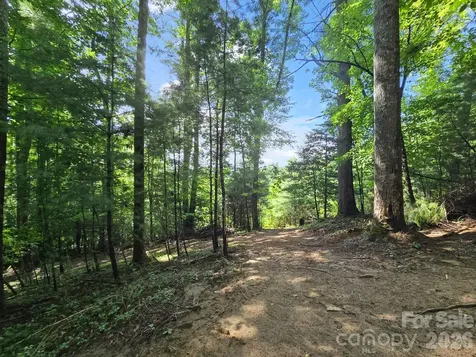 Tbd Davenport Hills Road Hendersonville NC 28739