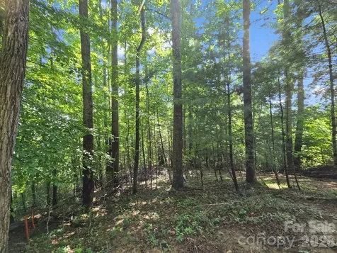 Tbd Davenport Hills Road Hendersonville NC 28739