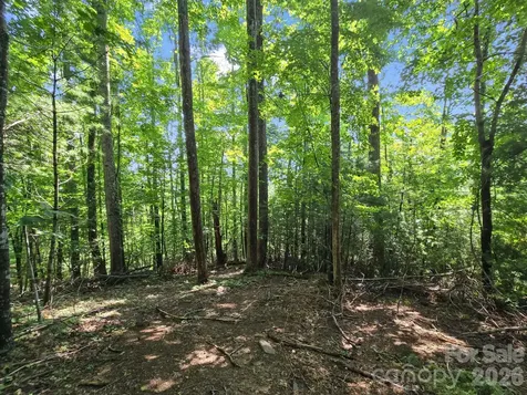 Tbd Davenport Hills Road Hendersonville NC 28739