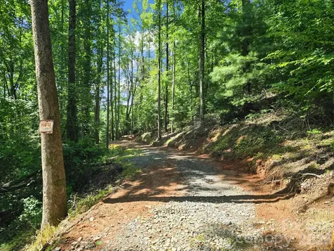 Tbd Davenport Hills Road Hendersonville NC 28739