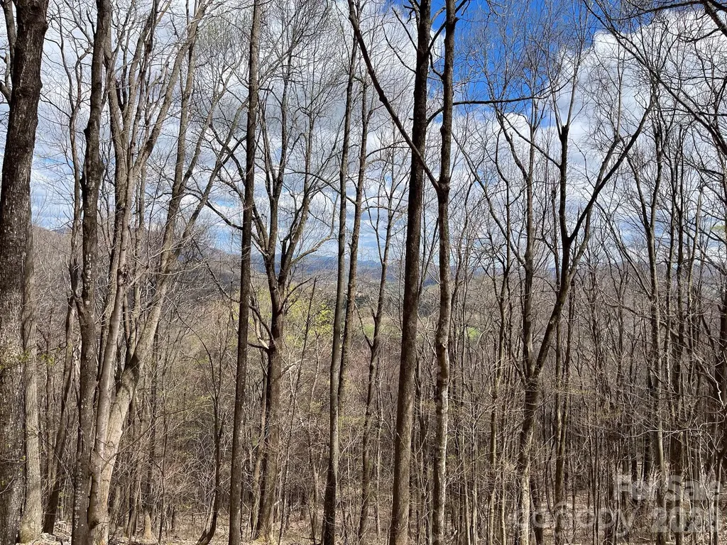 286 Frontier Drive West Jefferson NC 28694