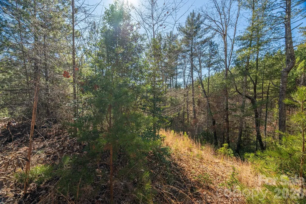 6235 Hwy 18 S Connelly Springs NC 28612