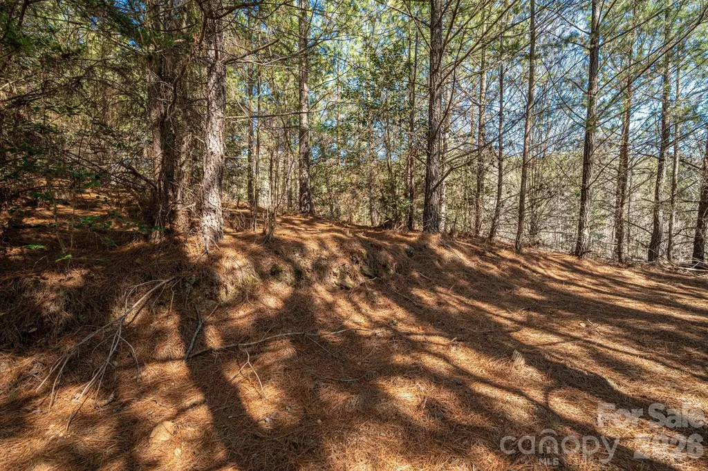 6235 Hwy 18 S Connelly Springs NC 28612