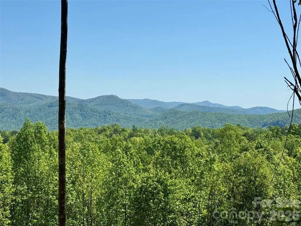 0 Doe Hallow Trail Nebo NC 28761