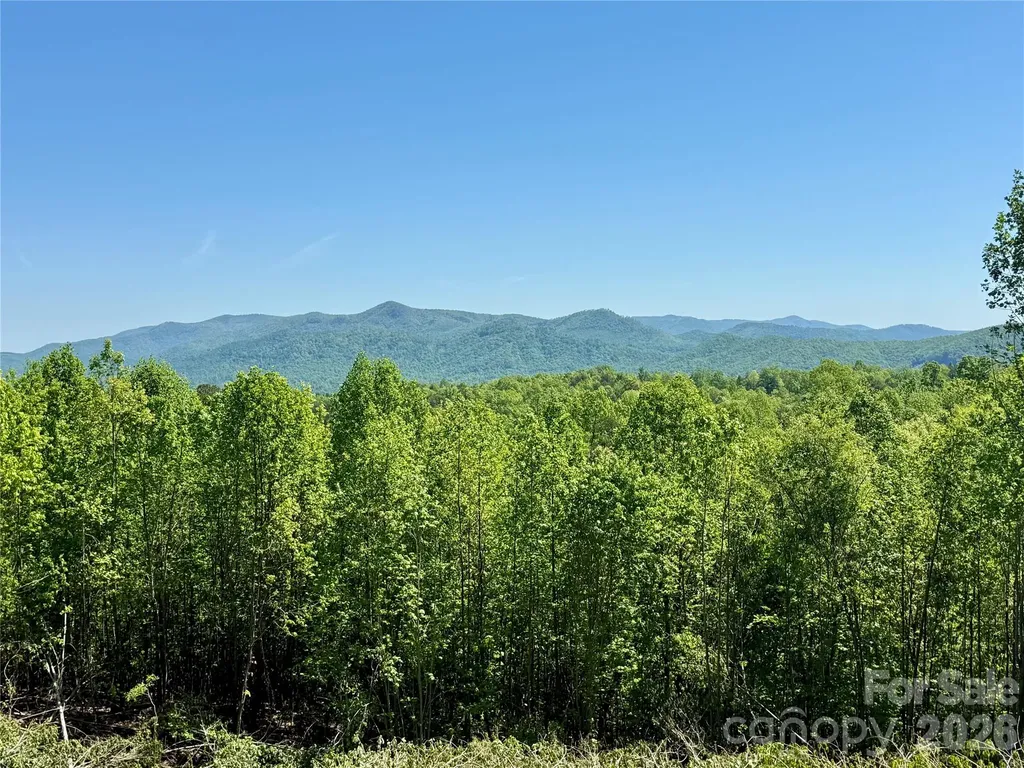 0 Doe Hallow Trail Nebo NC 28761
