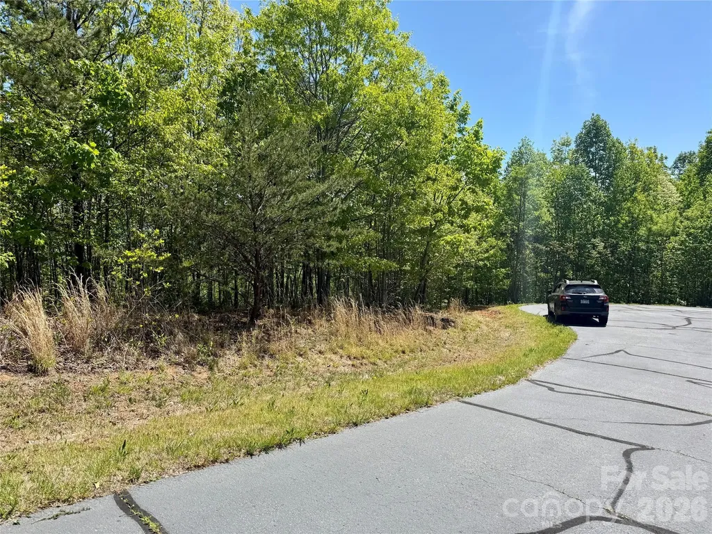 0 Doe Hallow Trail Nebo NC 28761