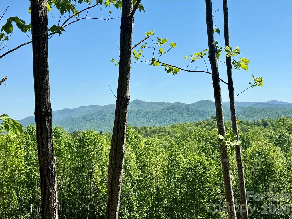 0 Doe Hallow Trail Nebo NC 28761