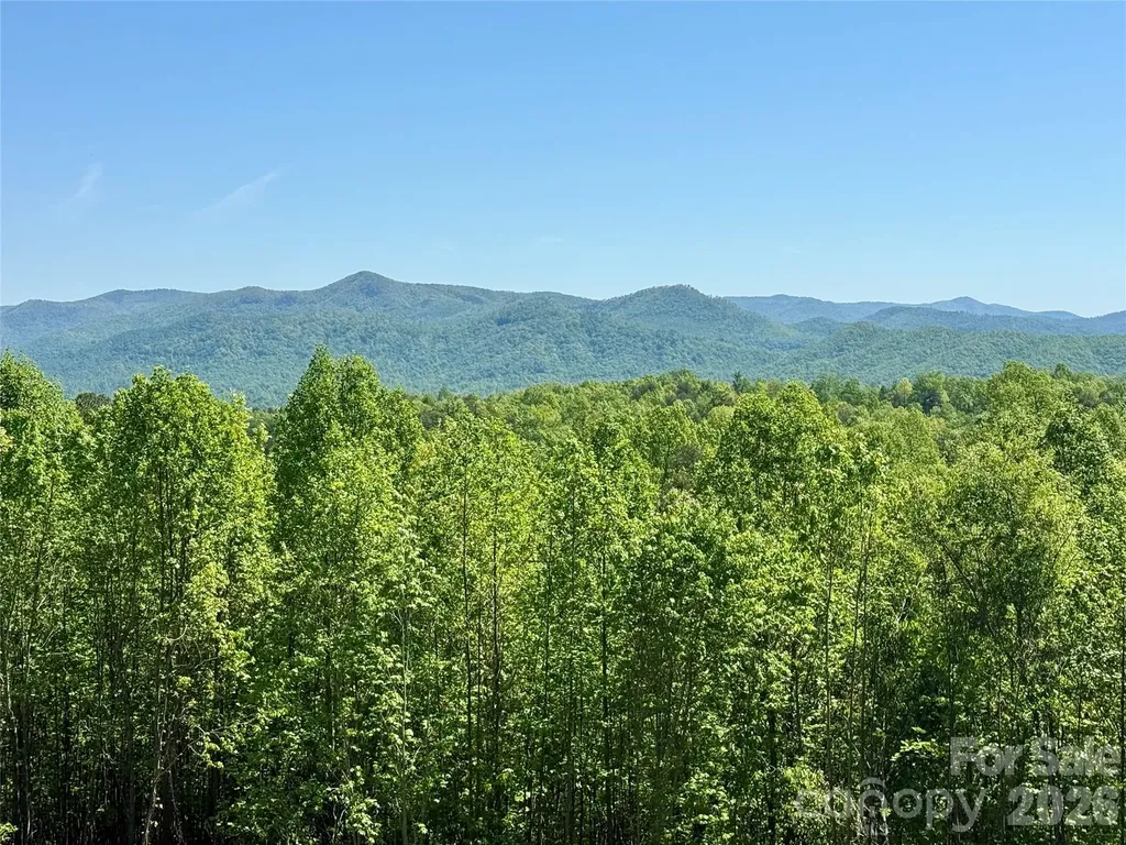 0 Doe Hallow Trail Nebo NC 28761