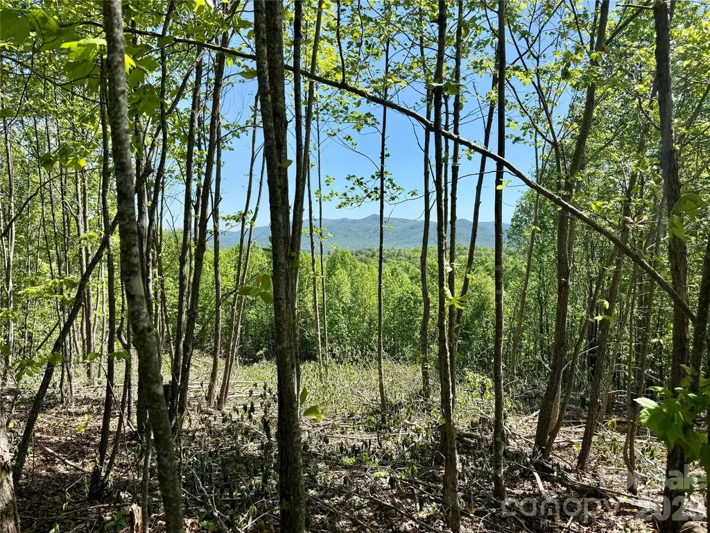 0 Doe Hallow Trail Nebo NC 28761