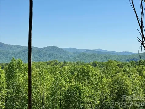 0 Doe Hallow Trail Nebo NC 28761