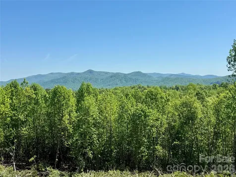 0 Doe Hallow Trail Nebo NC 28761