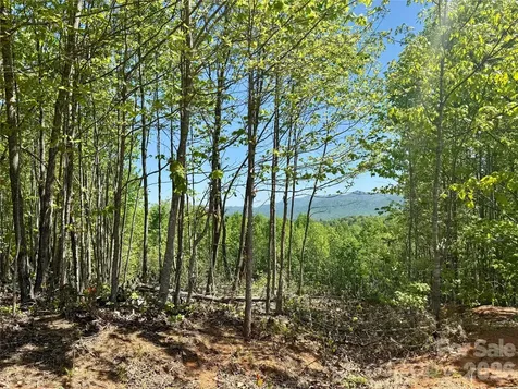 0 Doe Hallow Trail Nebo NC 28761