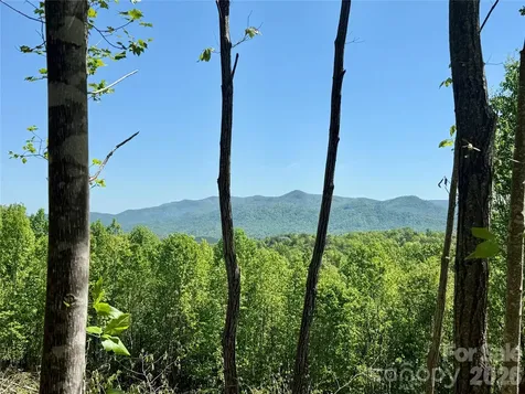 0 Doe Hallow Trail Nebo NC 28761